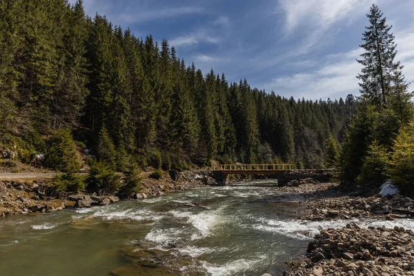 Mountain river with bridge and evergreen forest at background — Photo de stock