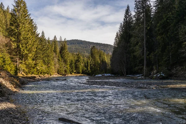 Scenic landscape of mountain river and forest with cloudy sky at background — стоковое фото