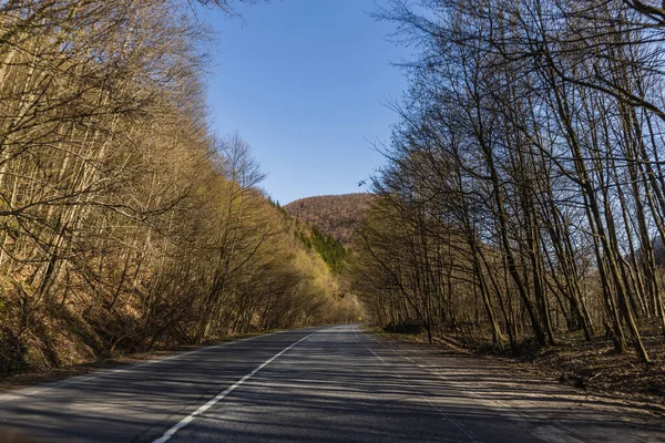 Camino vacío entre bosque de montaña en primavera - foto de stock