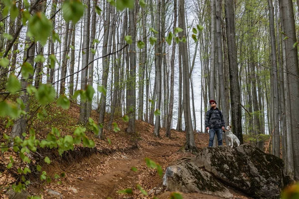 Escursionista e cane guardando lontano nella foresta di montagna — Foto stock