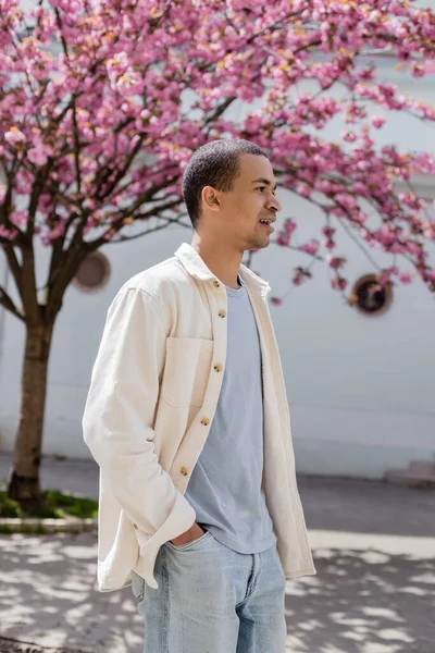 Young african american man in shirt jacket walking with hand in pocket near cherry tree — Stock Photo