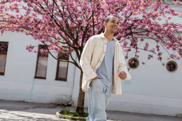 Positiver afrikanisch-amerikanischer Mann in Hemdjacke, der mit der Hand in der Tasche in der Nähe des Kirschbaums spaziert — Stockfoto