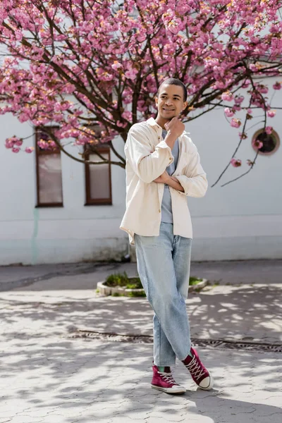 Longitud completa de hombre afroamericano positivo en camisa chaqueta caminando cerca de cerezo - foto de stock