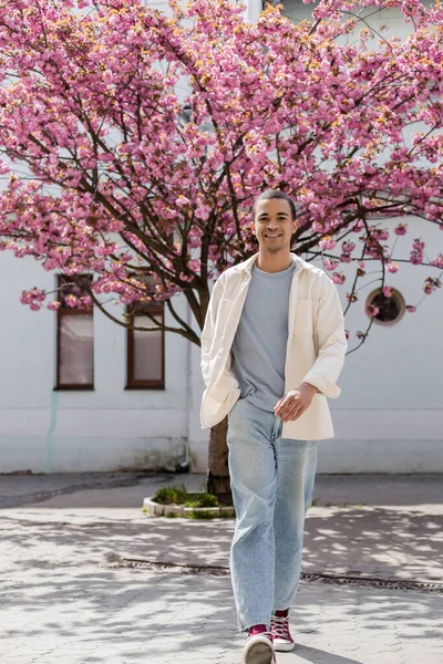 Sonriente afroamericano hombre en camisa chaqueta caminando con la mano en el bolsillo cerca de cerezo japonés - foto de stock