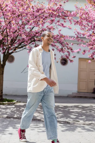 Full length of happy african american man in shirt jacket walking near pink cherry tree — Stock Photo