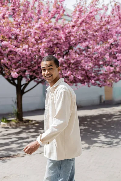 Hombre afroamericano feliz en camisa chaqueta caminando cerca de cerezo rosa - foto de stock