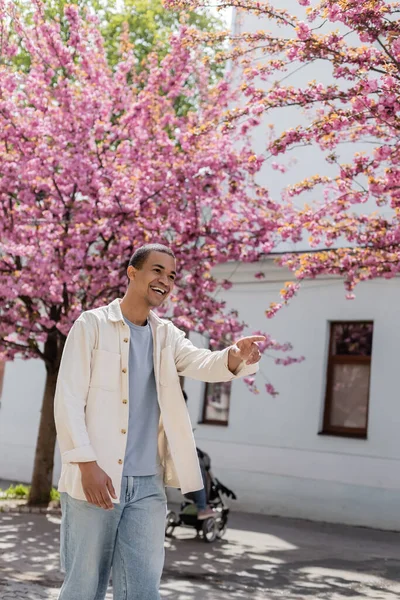 Hombre afroamericano positivo en chaqueta de camisa apuntando con el dedo cerca del árbol de sakura floreciente - foto de stock