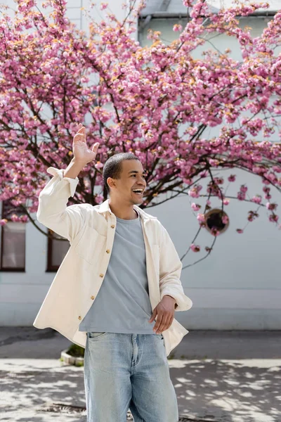 Uomo afroamericano in camicia giacca camminare vicino albero di ciliegio rosa — Foto stock