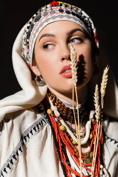 Portrait of young ukrainian woman in traditional clothing with ornament near wheat spikelets on black — Stockfoto