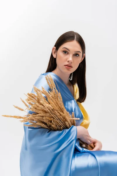 Sensual young ukrainian woman covered with blue and yellow flag holding wheat spikelets isolated on grey — Foto stock