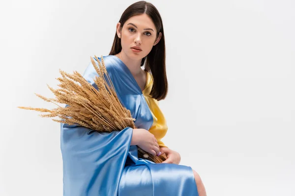 Patriotic young ukrainian woman covered with blue and yellow flag holding wheat spikelets isolated on grey - foto de stock