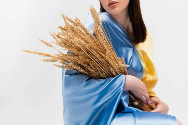 Cropped view of ukrainian woman covered with blue and yellow flag holding wheat spikelets isolated on grey — Stock Photo