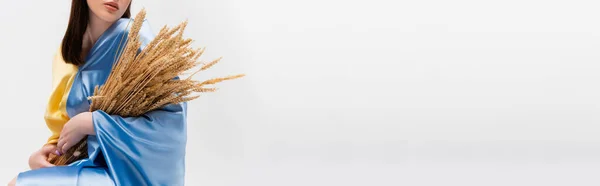 Cropped view of ukrainian woman covered with blue and yellow flag holding wheat spikelets isolated on grey, banner — Foto stock