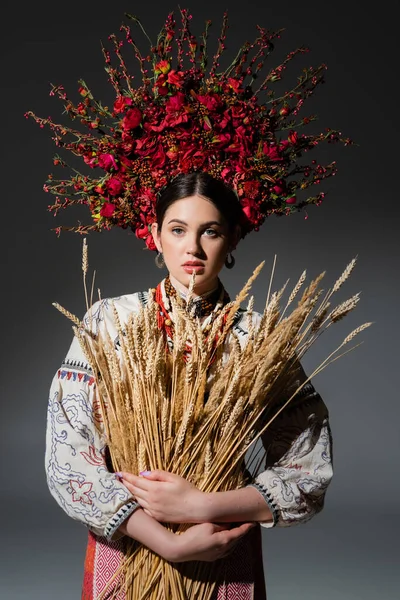 Brune et jeune ukrainienne en couronne florale avec des baies rouges tenant des épillets de blé sur gris foncé — Photo de stock