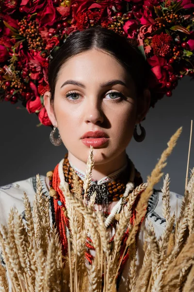 Retrato de morena e jovem mulher ucraniana em grinalda floral com bagas vermelhas perto de espiguetas de trigo em cinza escuro — Fotografia de Stock