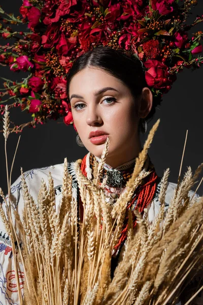 Portrait de femme ukrainienne brune en couronne florale avec des baies rouges près des épillets de blé isolés sur noir — Photo de stock