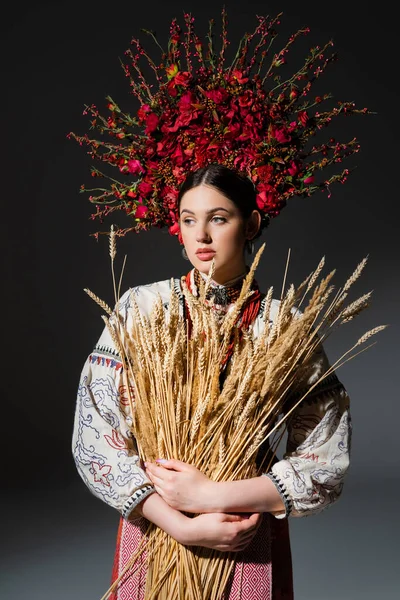 Mujer ucraniana en corona floral con bayas rojas sosteniendo espiguillas de trigo en gris oscuro - foto de stock