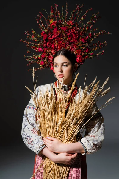 Ukrainan woman in floral wreath with red berries holding wheat spikelets on dark grey — Stock Photo