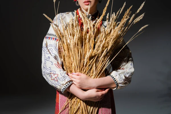 Cropped view of ukrainan woman in traditional shirt with ornament holding wheat spikelets on dark grey — Photo de stock