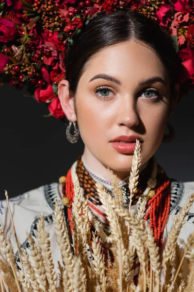 Retrato de mujer ucraniana morena en corona con bayas rojas cerca de espiguillas de trigo aisladas en negro - foto de stock