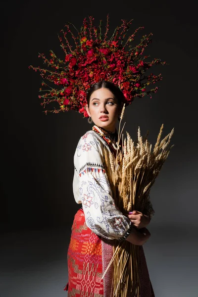 Brune et jeune ukrainienne en couronne florale rouge avec des baies tenant des épillets de blé sur noir — Photo de stock