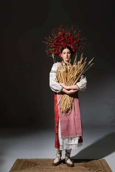 Comprimento total de morena e jovem mulher ucraniana em grinalda floral com bagas vermelhas segurando espiguetas de trigo em preto — Fotografia de Stock