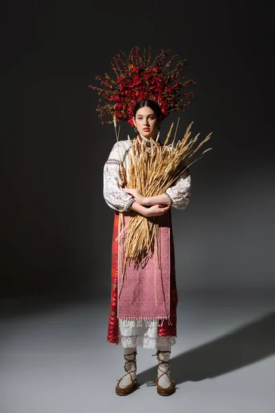 Full length of brunette ukrainan woman in red wreath with berries holding wheat spikelets on black — Stockfoto