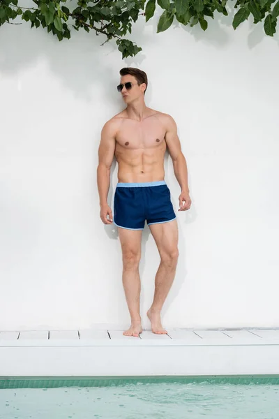 Sportlicher Mann mit Sonnenbrille steht neben Pool an weißer Wand — Stockfoto