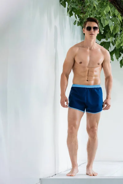 Full length of barefoot athletic man in swimwear and sunglasses standing under green branches — стоковое фото