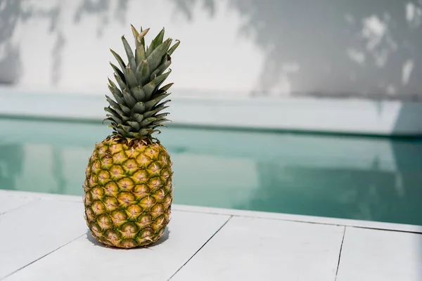 Tropical and ripe pineapple near blue water in swimming pool — Foto stock