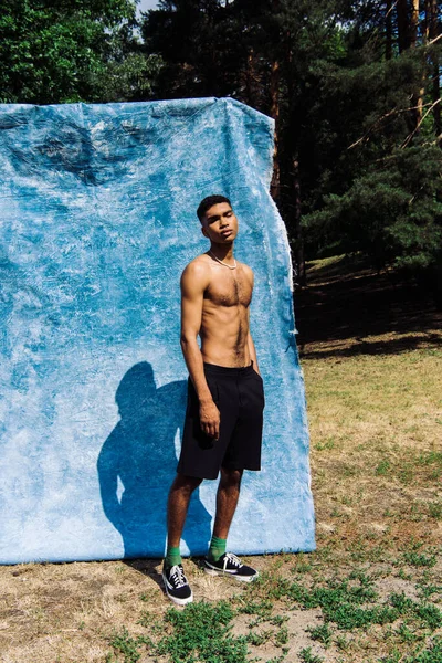 Full length of shirtless african american man posing with hand in pocket of black shorts near blue drapery in park - foto de stock