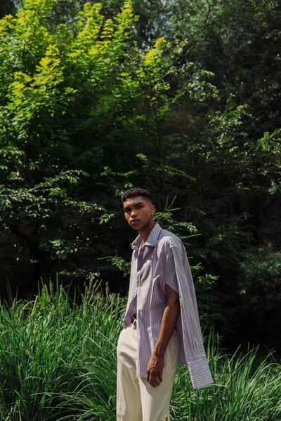Молодий афроамериканський чоловік у синій і смугастій сорочці дивиться на камеру в літньому парку — стокове фото