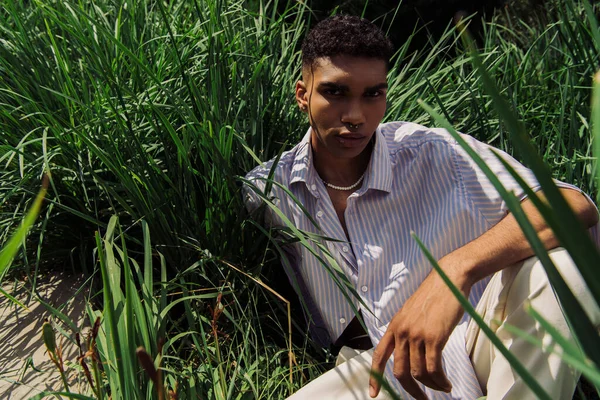 High angle view of young african american man in trendy shirt sitting on grass and looking at camera — Stockfoto