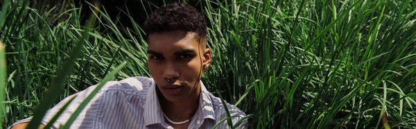 Young african american man with piercing looking at camera near green grass, banner - foto de stock