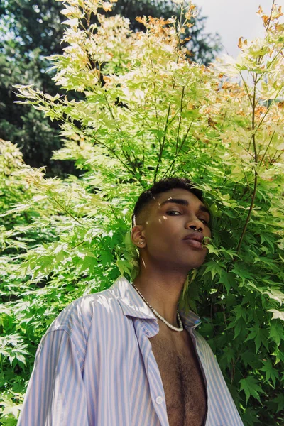 Stylish african american man with piercing looking at camera near bush in park — Stockfoto