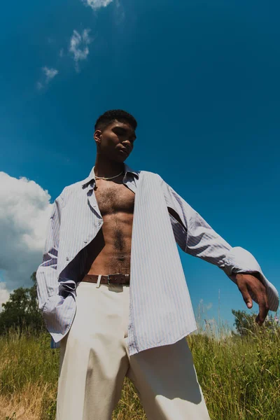 Low angle view of african american man in blue striped shirt in field under blue sky — Stockfoto