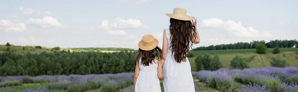 Back view of brunette woman and girl in straw hats in flowering meadow, banner — Stockfoto