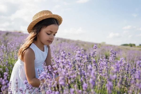 Kid in straw hat and summer dress in meadow with blooming lavender — Foto stock