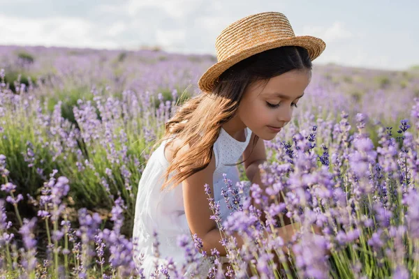 Child with long hair and in straw hat in meadow with blooming lavender — Photo de stock