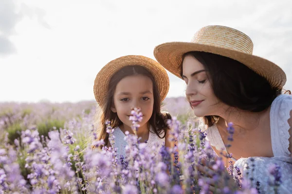 Brunette woman in straw hat smelling lavender near woman in meadow — Foto stock