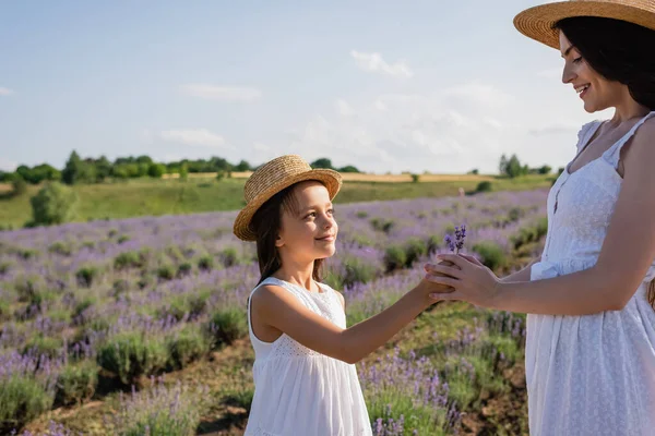 Girl in straw hat giving lavender flowers to pleased mom - foto de stock