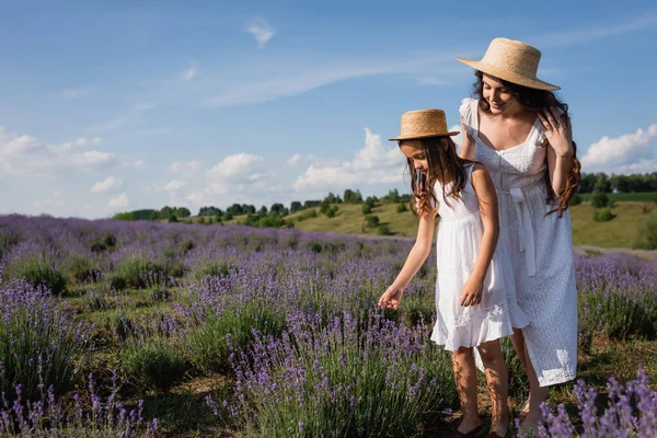 Woman and child in straw hats walking in field near blooming lavender — Stock Photo