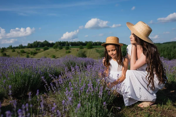 Woman and child in straw hats and white dresses near blooming lavender in meadow - foto de stock