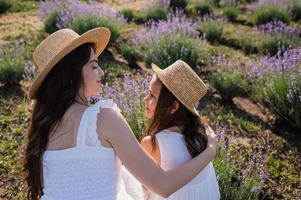 Brunette woman and girl looking at each other while sitting in lavender meadow - foto de stock