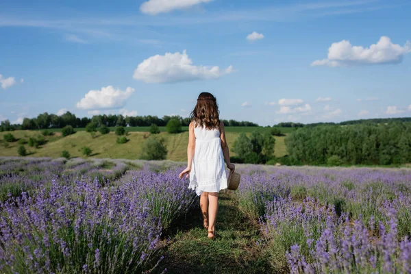 Back view of brunette girl in white dress walking along field with flowering lavender — Fotografia de Stock