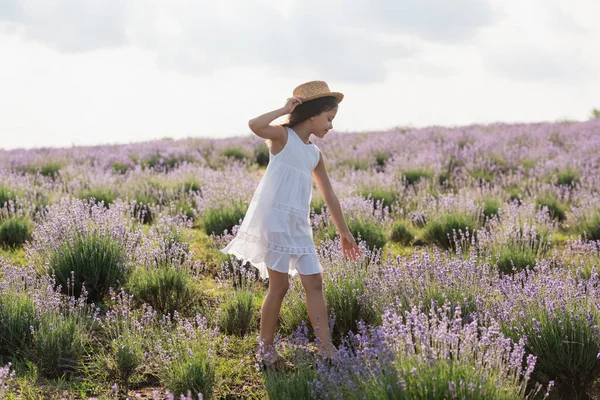 Full length of kid in straw hat and white dress walking in lavender field — Stock Photo