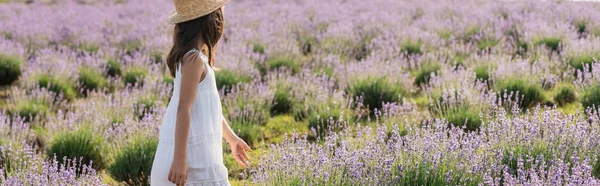 Child in sun hat and white dress in meadow with flowering lavender, banner — Foto stock