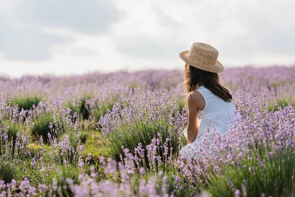 Back view of girl in straw hat and white dress sitting in meadow with lavender - foto de stock