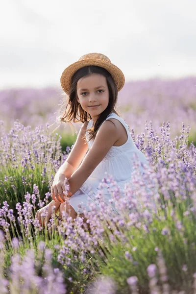 Child in summer dress and straw hat sitting in lavender field — Foto stock