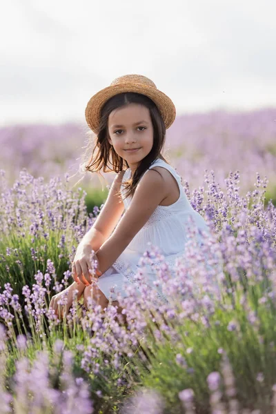 Child in summer dress and straw hat sitting in lavender field — Stock Photo